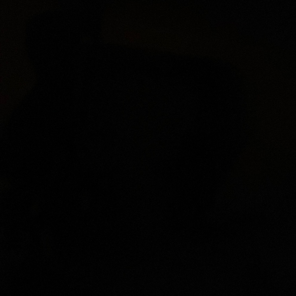 Male doll, tall, 5’11”, black, male, command ready.